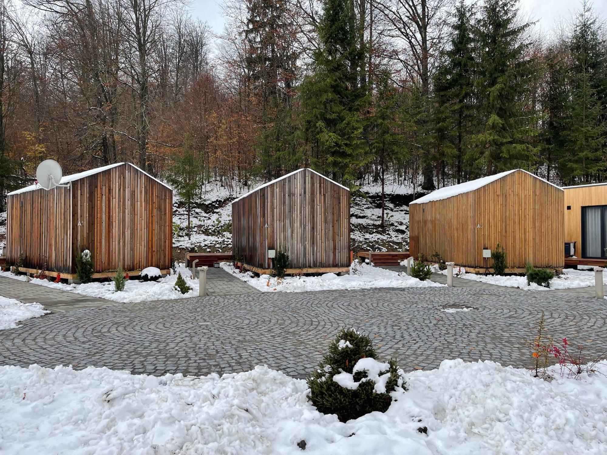 Balvanyos Resort - Peakture Hotel & Grand Hotel บาลวานยอส ภายนอก รูปภาพ